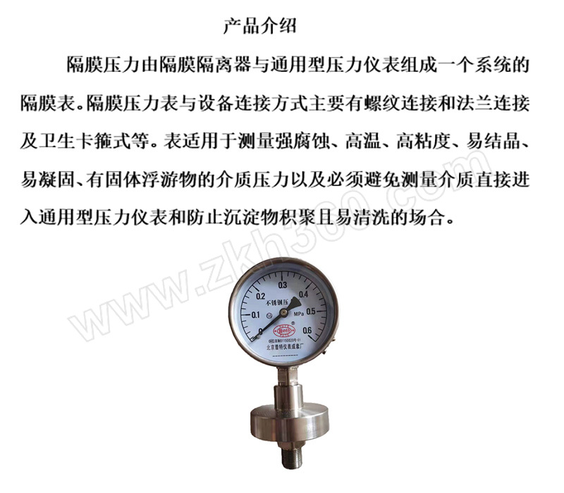 pute/普特 不锈钢隔膜压力表 ytpe-100a 0-1.6mpa 1个