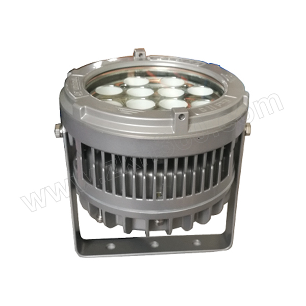 warom华荣防爆固态照明灯rleexl613ii18axb1个