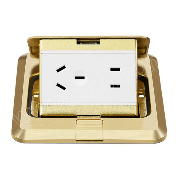 bull公牛方形铜面地脚插座gd1z22310a250v拨启式方形铜面1个