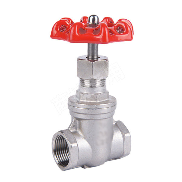 Wristwatch by Ted Baker London