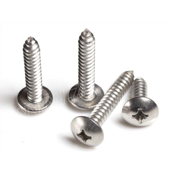 qd强达螺丝304不锈钢十字大扁头自攻螺钉st3565jisb1122t1个