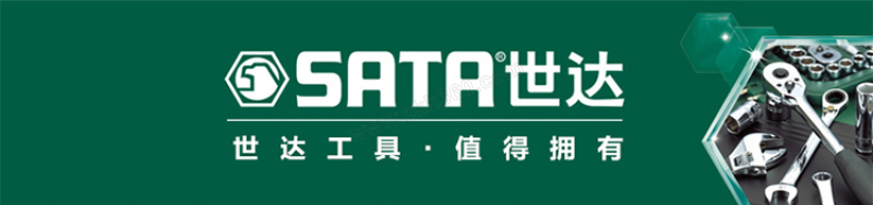 sata世达尖嘴钳70101a61把